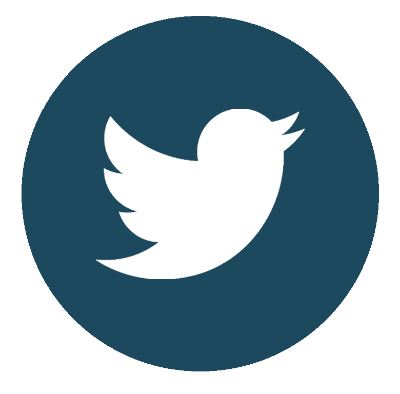 Twitter Icon